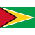 Guyana W logo
