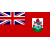 Bermuda W logo