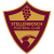 Stellenbosch FC logo