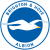 Brighton U21 logo