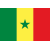 Senegal U17 logo