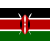Kenya W logo
