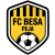 Besa Peja logo