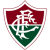Fluminense U17 logo