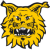 Ilves logo