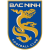Bac Ninh logo