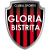 Gloria Bistrita logo