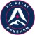 Altai W logo