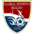 Blejoi logo