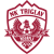 Triglav logo