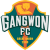 Gangwon logo