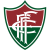 Fluminense de Feira U20 logo