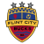 Flint City logo