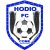 Hodio logo