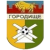 Nadezhda Baranovici logo